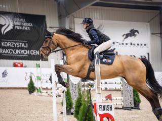 Wałach do współdzierżawy