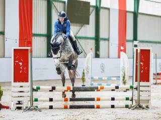 5-letnia startująca klacz ujeżdżenie/skoki po Levus/Etoulon VDL z matki po Malibu