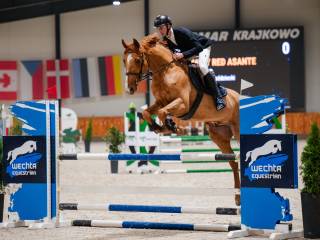 Przyszłościowy wałach do sportu