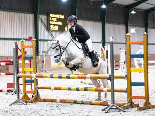 Antek 11 letni wałach