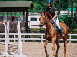 Doświadczona klacz do rekreacji i małego sportu