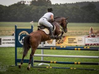 Współdzierżawa klaczy!