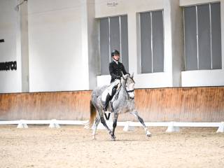 Klacz idealna dla dziecka!