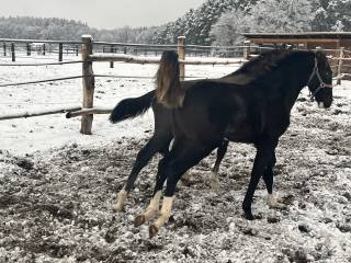 ZAPRASZAM TRENERA DO WSPÓŁPRACY