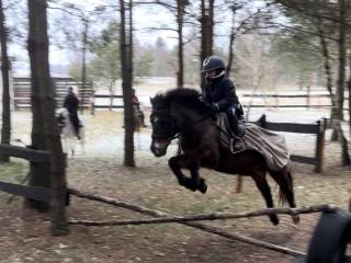 Kuce sportowe do dzierżawy