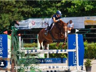 Klacz profesor, dobre wyniki L1/P