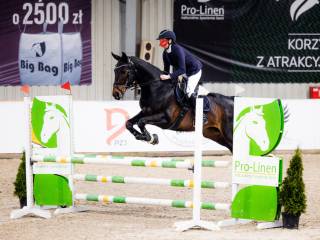 Współdzierżawa klaczy