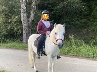 Niesamowita Klacz Kucyk