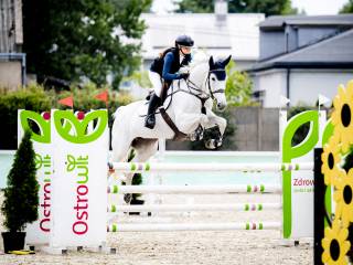 Klacz profesor - idealna dla dziecka