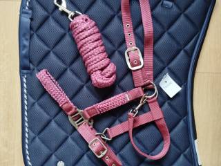 Kantar z uwiązem Chicago Horze FULL