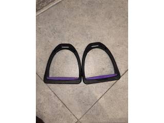 Strzemiona compositi fioletowe