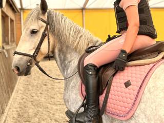 Siwy nieduży konik do rekreacji