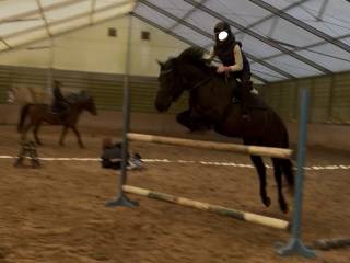 Kuc dla dziecka na sprzedaż