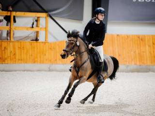 Szybki i zwinny kucyk do wygrywania - Caprea