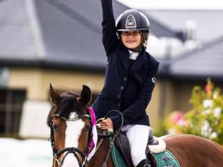 Kuc grupy D na sprzedaż (skoki, WKKW)