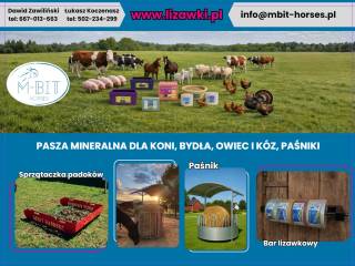 Lizawki, pasniki, uchwyty na lizawki i inne konstrukcje dla stajni