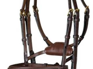 Ogłowie dyon z cofniętą potylicą rozmiar full kolor brązowy