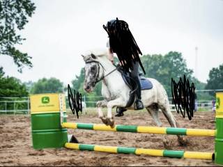 Sprzedam świetnego kuca, wałacha