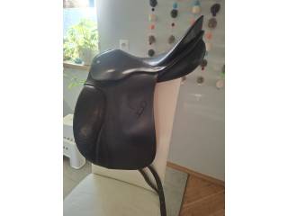 Passier Grand Gilbert, 17 cali, Łęk M