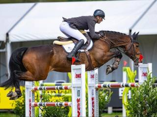 ZAMROŻONY ZARODEK CHACCO BLUE x JAPPELOU rv  (AVENTEA, ITALIA)