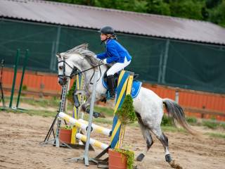 Kuc sportowy walijski