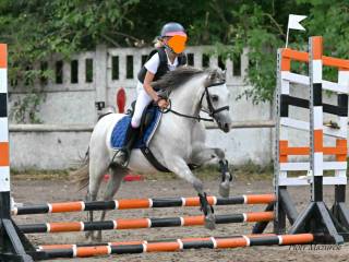 Klacz B grupy do hodowli i rekreacji