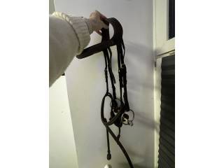 Ogłowie DYON z cofniętą potylicą, połowa ceny sklepowej