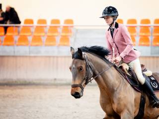Piękny walach do sportu, również dla dziecka