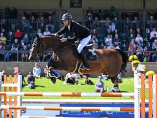 ZAMROŻONY ZARODEK – ABSOLUTNA ELITA GENETYKI SPORTOWEJ - United Touch S × Winefolly K van Katteheye