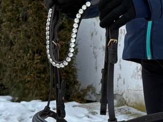 Ogłowie Horze Sommerset rozm. cob