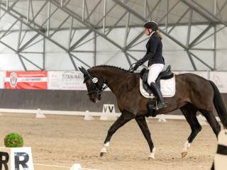 Klacz ujeżdżeniowa z klasowym rodowodem