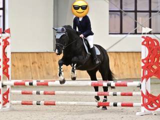 Sprzedam klacz do rekreacji, małego sportu