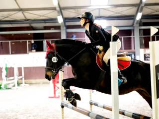 Urodziwa klacz huculska