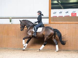 Młody talent dla dziecka, jak i osoby dorosłej!