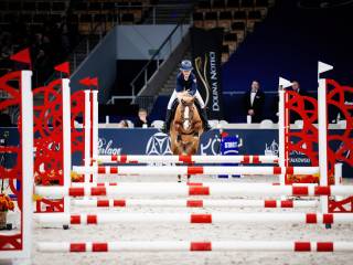 Sportowy Kuc Walijski A1