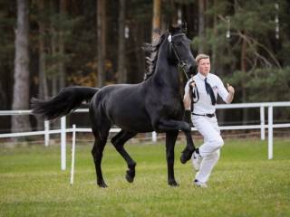 Amleth R. Imperial Stable