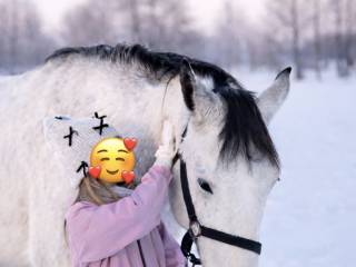 CUKIEREK IPO – koń, który myśli i ufa | idealny partner na lata