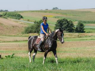 Klacz wielkopolska, sport, rekreacja, hodowla