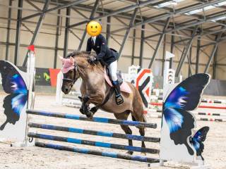 Super kucyk grupa D klacz, profesorka, do małego sportu