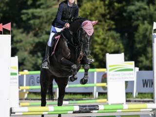 Śliczna klacz 11lat