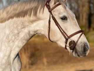 4 latek po Diakato PS