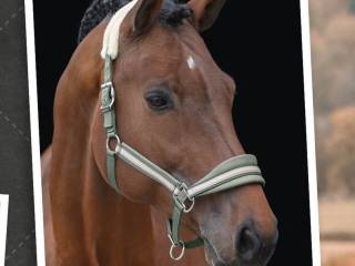 kantar felix Buhler Swiss, r. FULL, oregano, jak nowy