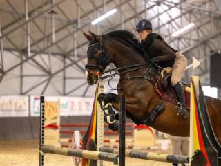 Utalentowana klacz skokowa po Stakkato