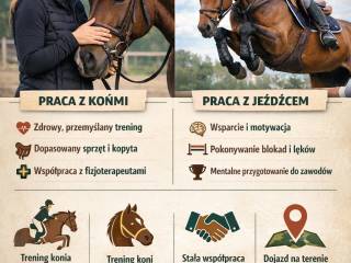 Trening koni i jeźdźców