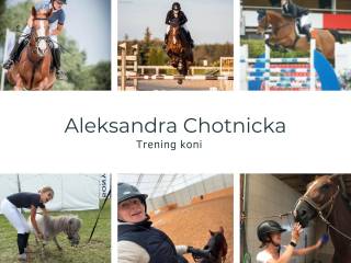 Przyjmę konia/kuca w trening – skoki, doświadczenie sportowe