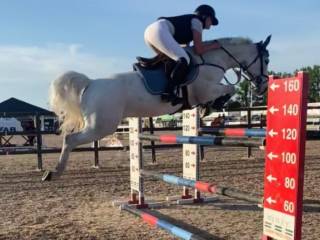 Kuc sportowy gr. D - TOP PONY