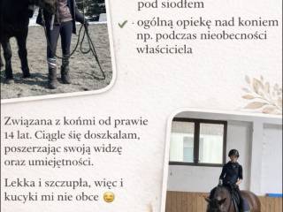 Wszechstronna opieka nad końmi