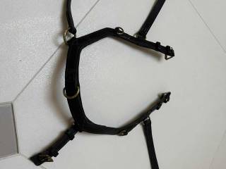 Nachrapnik Rambo Mickelm Multi bridle