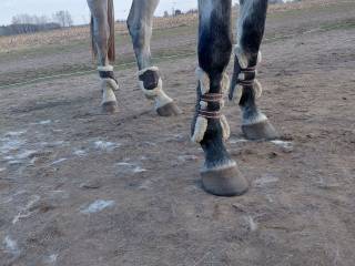 Ochraniacze z futerkiem cob