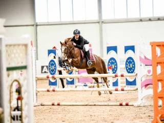 Champion pony